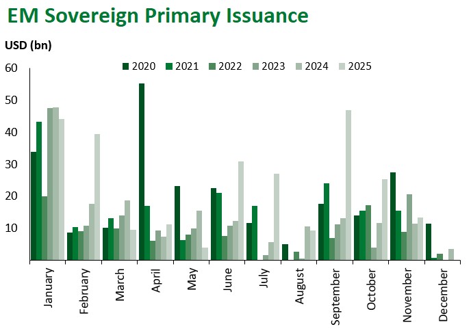 EM Sov Primary Issuence 2025-11-07 134759