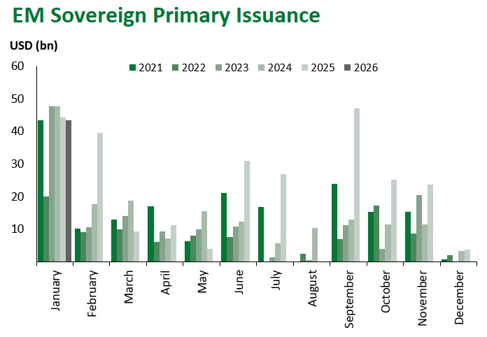 EM Sovereign Primary Issuance 2026-01-09 135805